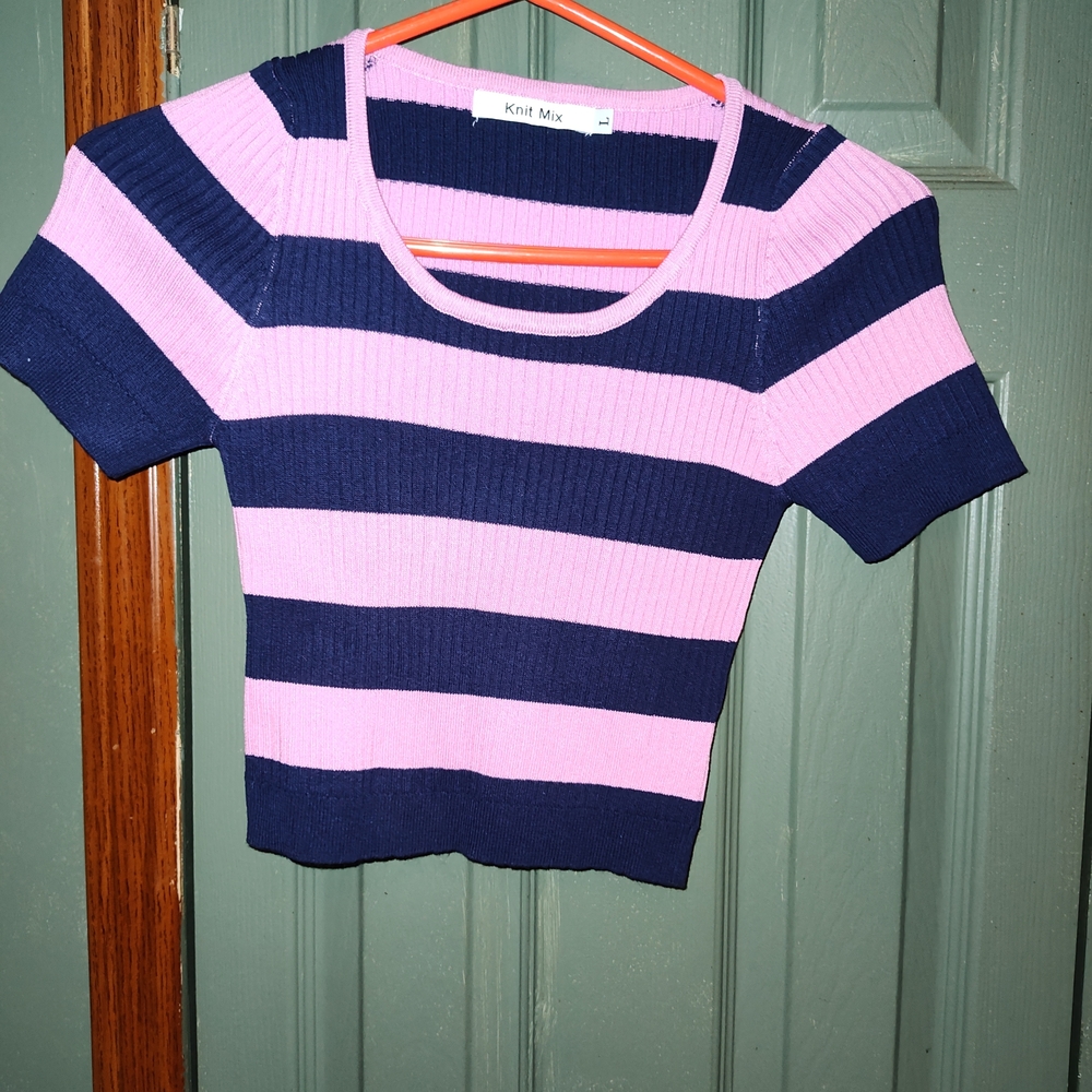 Striped Pink and Navy Ribbed Crop Top - Women's
